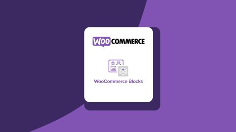 create a custom checkout block